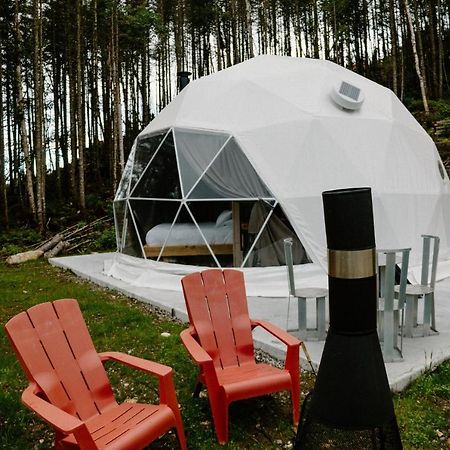Apartamento Les diamants de l'éternel Saint-David-de-Falardeau Exterior foto