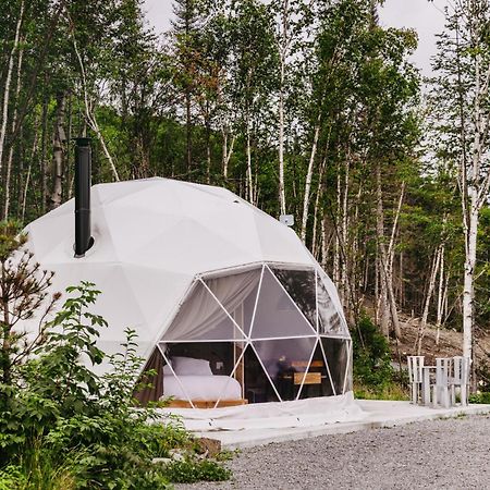 Apartamento Les diamants de l'éternel Saint-David-de-Falardeau Exterior foto